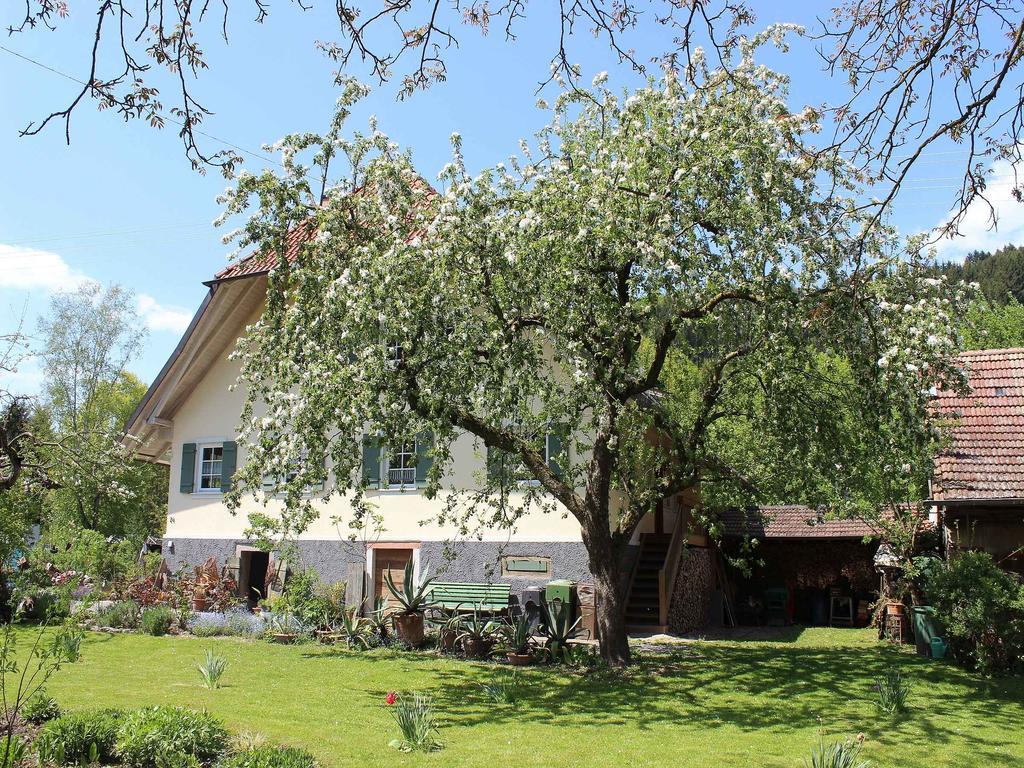 Apartament Haus Am Bach Steinach  Zewnętrze zdjęcie